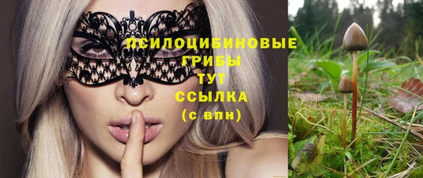 стафф Алексин