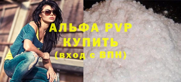 стафф Алексин