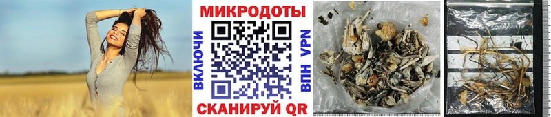 Псилоцибиновые грибы Magic Shrooms  цены наркотик  Навашино 